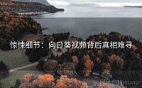 惊悚细节：向日葵视频背后真相难寻