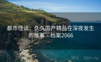 都市怪谈：久久国产精品在深夜发生的故事 · 档案2066