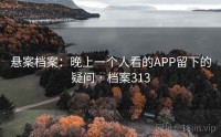 悬案档案：晚上一个人看的APP留下的疑问 · 档案313