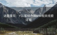 谜题重现：YSL蜜桃色WWW相关线索浮现
