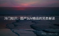 冷门知识：国产SUV精品的另类解读