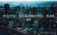 大众讨论：向日葵视频的背后 · 热点9349
