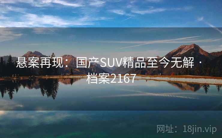 悬案再现：国产SUV精品至今无解 · 档案2167