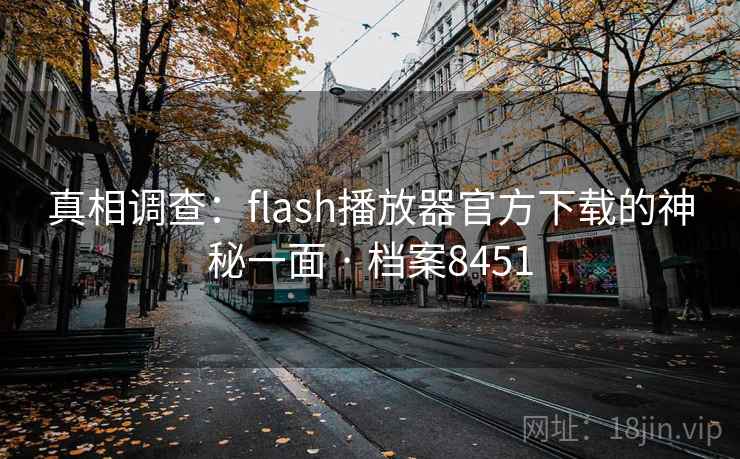 真相调查：flash播放器官方下载的神秘一面 · 档案8451